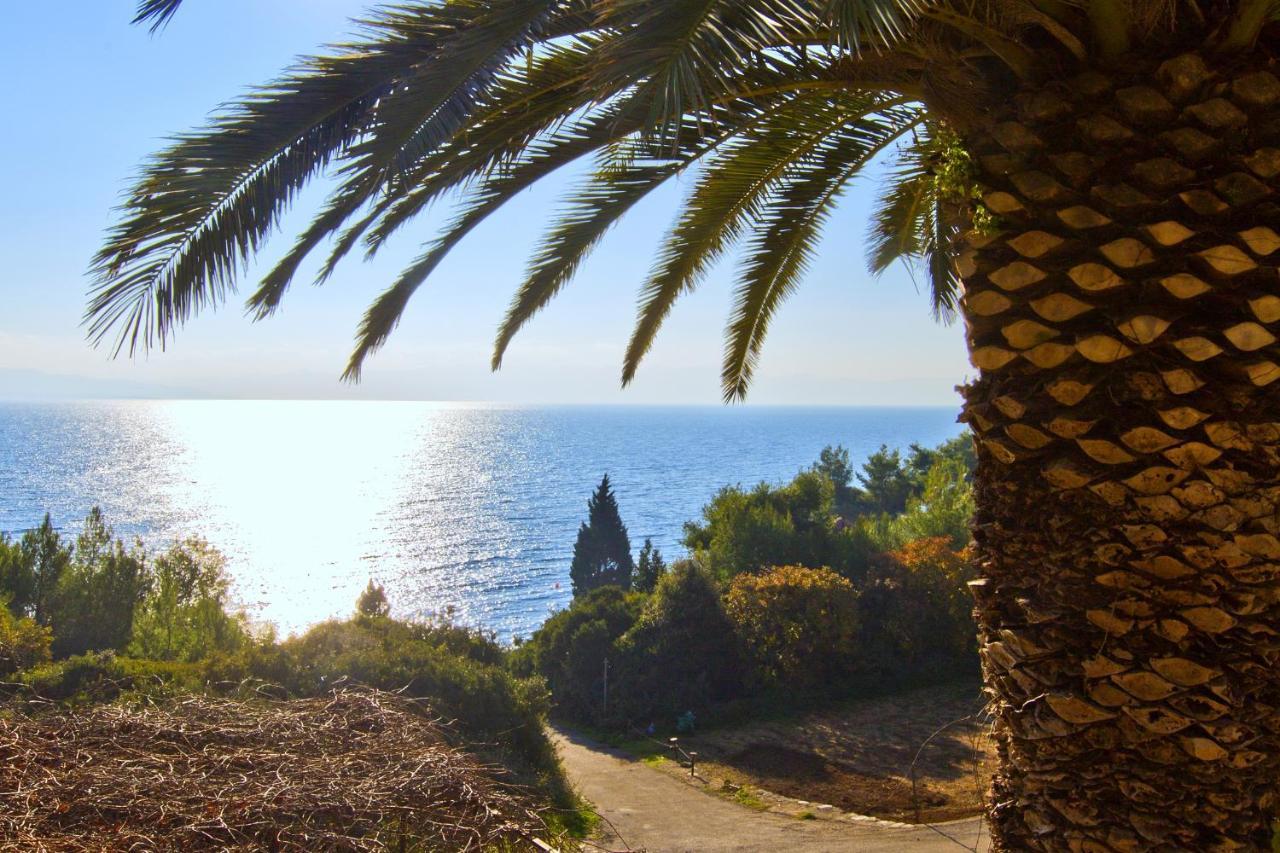Seaside Secluded Apartments Cove Tvrdni Dolac, Hvar - 4008 Gdinj 외부 사진